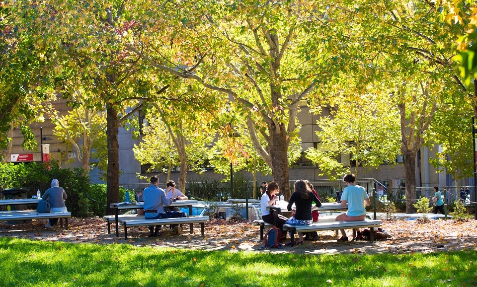 Tấn Toàn chọn Đại học Macquarie là điểm đến du học của mình
